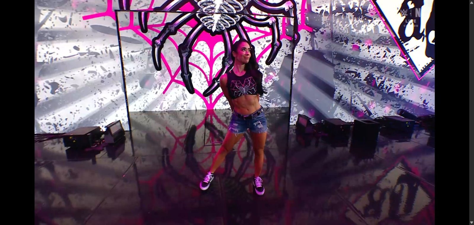 AJ Lee Makes Shocking Return To The WWE 1